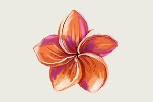 Executive, Career and Life Coaching